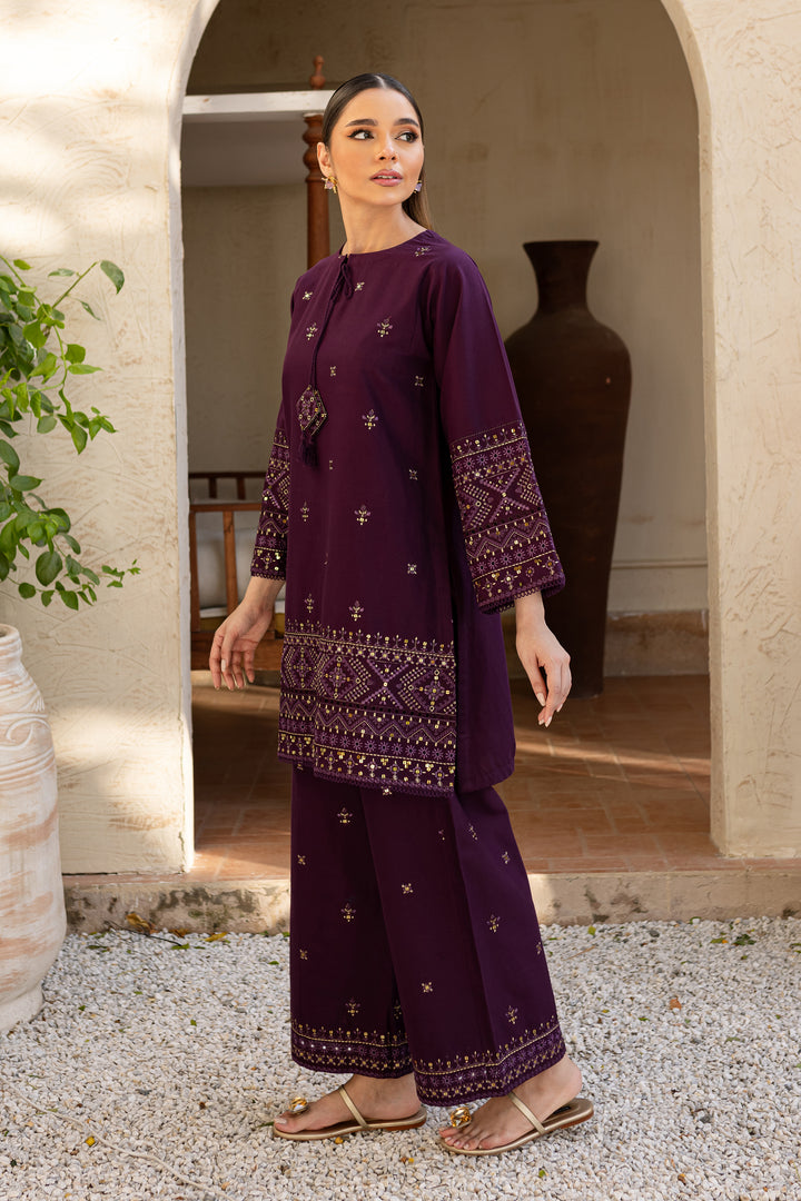 Dhanak 2PC Embroidered Ensemble – ZC3163