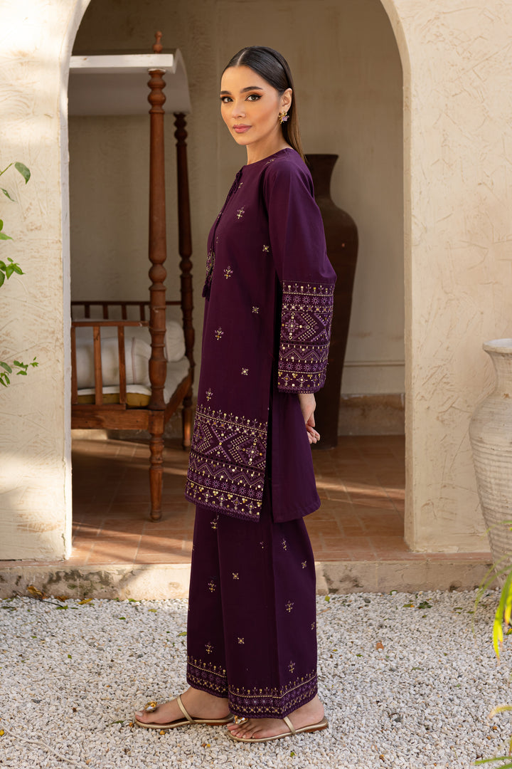 Dhanak 2PC Embroidered Ensemble – ZC3163